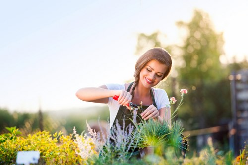 Customer complaint process for a gardening service
