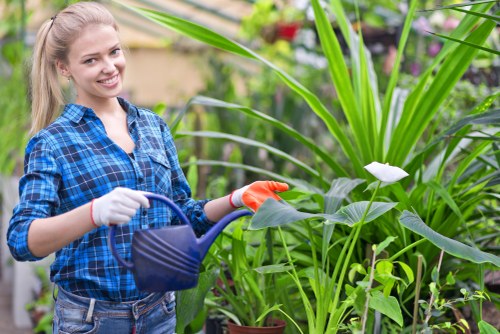 Investigating a gardening service concern