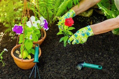 Illustration representing accessible gardening services in Covent Garden