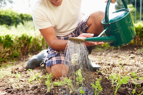 Example of garden maintenance pricing for a roof terrace in Covent Garden