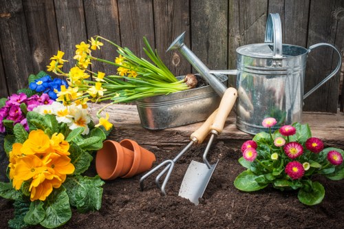 Professional garden waste clearance in Covent Garden