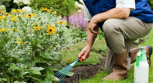 Visual about accessibility requests for Covent Garden gardeners