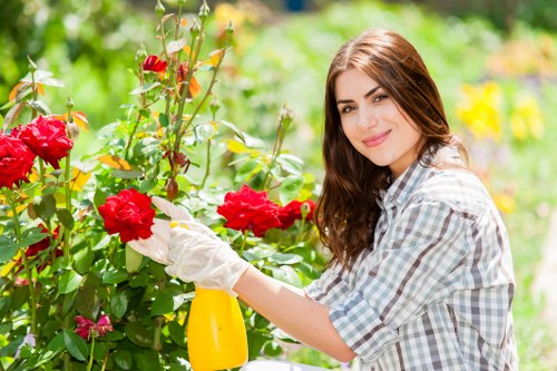 Covent Garden garden maintenance for stylish urban outdoor spaces