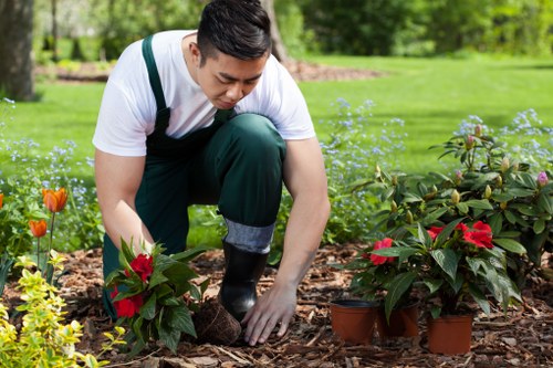 Free quote discussion for a townhouse garden near busy Covent Garden streets