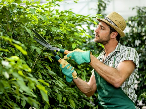 PCI compliant payment protection for Covent Garden gardening services