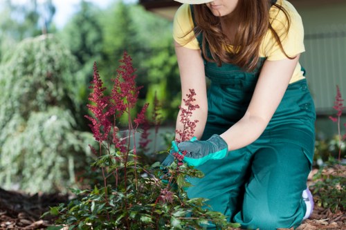 Written complaint review for garden maintenance work