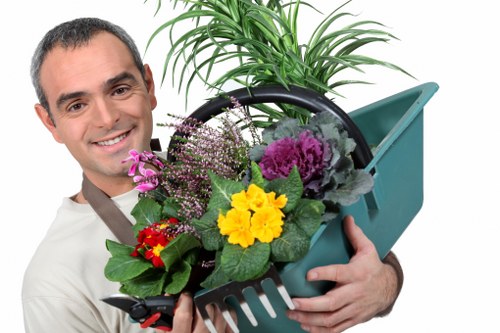 Tidy lawn care in Covent Garden with trimmed borders