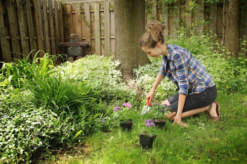 Professional grass cutting in a central London garden