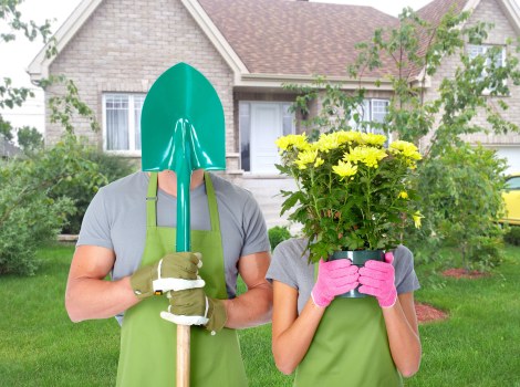 Seasonal planting and container care for a Covent Garden property