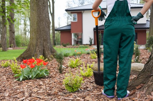 Low-waste garden maintenance in a central London setting