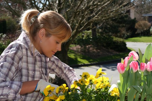 Risk assessment process for a gardening job in a Covent Garden outdoor space