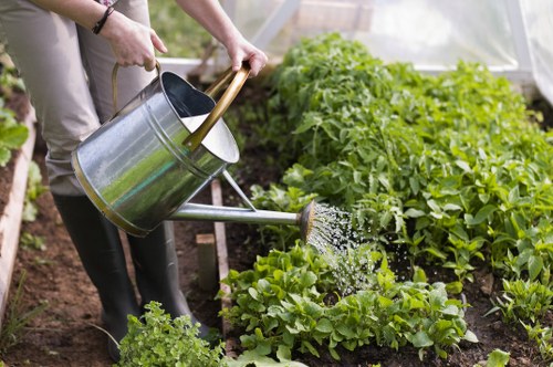 Container planting and greenery in a Covent Garden terrace setting